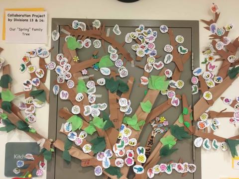 Div. 13: Spring Family Tree