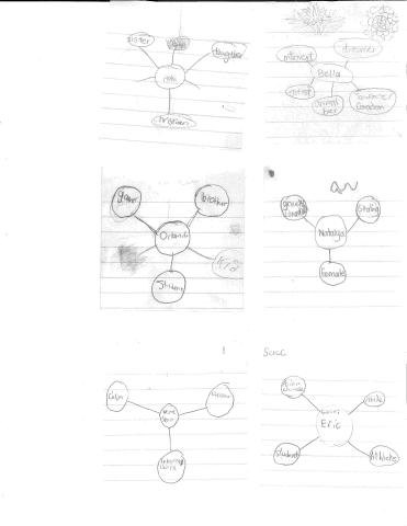 Div. 2: Multicultural Identity