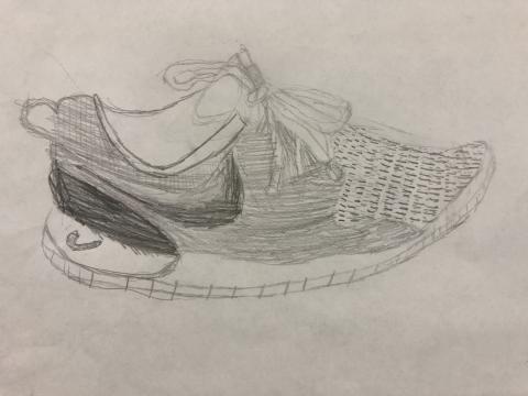 Div. 8: My Shoe Sketch